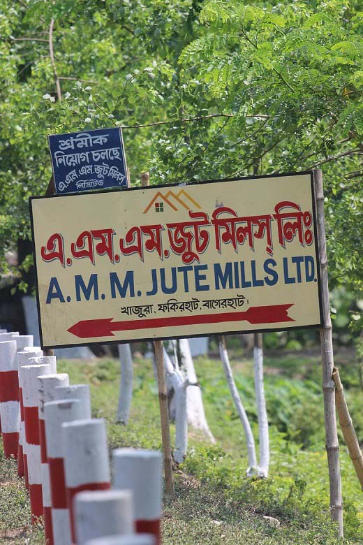 AMm-Name-jute